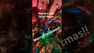 #foryou #sub #homeless #christmas #watch #tryingtomakeitout #life #subscribers #subscribe #watch