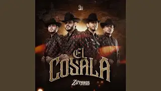 EL COSALA