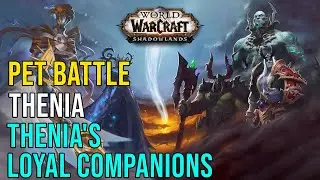 Thenia-Thenia's Loyal Companions-Pet Battle-Shadowlands-World Quest