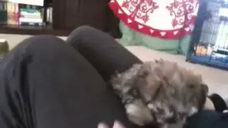 The amazing talented Luna