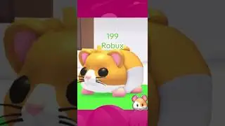 FINALLY Hamsters in Adopt Me! #adoptmeroblox #adoptmeupdate #adoptmepets