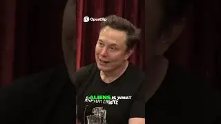 Entitlement Fraud Is a Magnet for Illegal Immigration! #ElonMusk #entitlement  #IllegalImmigration