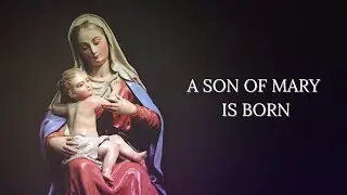 The Son of Mary is Born - November 30, 2025
