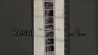Shoot and develop Kentmere 100