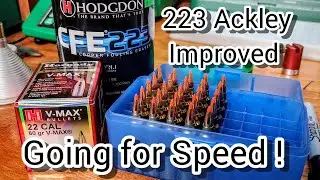 .223 Ackley Improved: CFE 223 и 60gr VMax