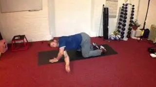 Spinal Articulation - Transverse Arm driver - full range