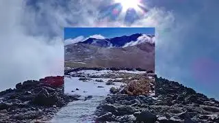 TREVINCA 2018