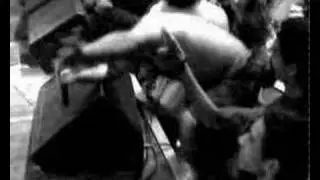 Acaros Ipa - Filhos Bastardos