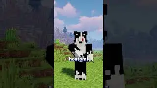 Did you know that sims players... #minecraft #hosting #hostomi