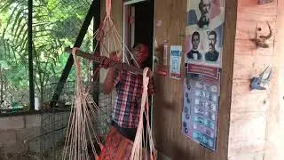 los gruse m&aacute;s excelente de gallos  🐔🐓