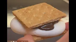 Marshmallow delight. ( S'mores )