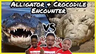 An Amazing Crocodile Encounter adventure in Texas!