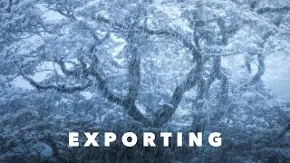 How To Save And Export For Web & Social Media