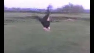 Marc Doin Sum Flip Thing