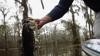 Temple Fork Outfitters - Tactical and Tactical Elite Bass Rods