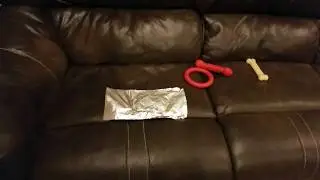 How to keep dogs off of any couch! (actually works)