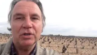 GRENACHE AND OTHER RH&Ocirc;NE GRAPE VARIETALS & WINES
