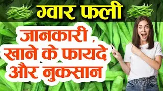 ग्वार फली : जानकारी ,खाने के फायदे और नुकसान .Benefits of cluster beans in pregnancy, Diebetes.