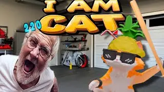 Playing I am cat Part 2 😸