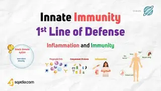 Inflammation and Immunity - Innate Immunity: 1st Line of Defense