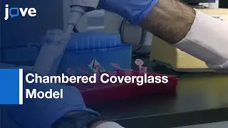 Chambered Coverglass Model to visualize Effects of Sputum | Protocol Preview