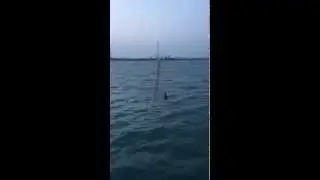 my ribbon fish  catch