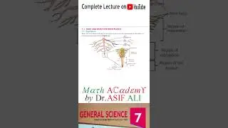 Science 7 Unit 1 Root System 8 #shorts