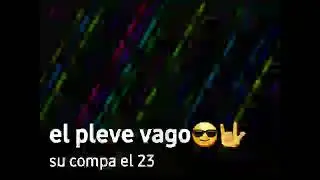 el pleve vago