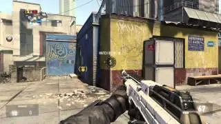 DNA Bomb (53-1) + Reaction