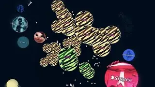 Vanis.io Splitrun Montage #3 - Multibox edition
