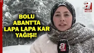 Bolu'da Kar Etkisini Artırarak Sürüyor! | A Haber