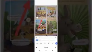 C3 English L-5 Why Dogs Chase Cars