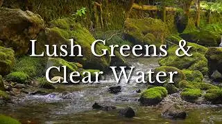 Serenity Awaits - 10 hours of Constant Water Sounds