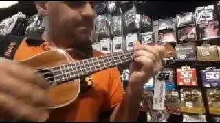 Ukulele Kala KA-CG concert top gloss