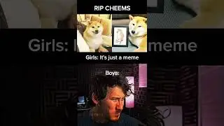 Heartbreaking Tribute: The Sad Status of Cheems | #shorts #viral