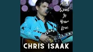 Wicked Game (Live)