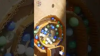 Marble Run ☆ Enjoyed in Nature ☆ marble run ASMR  | #ytshorts