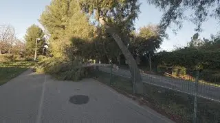 Let's Run Together