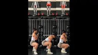 Different squat stances target different muscle groups: