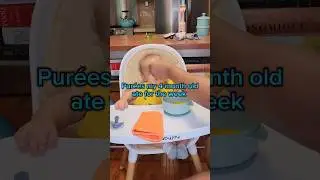 Pur&eacute;es My 4 Month Old Ate For The Week