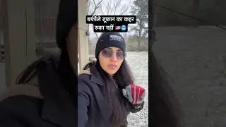 बेजुबानों पे टूटा बर्फीले तूफ़ान का कहर😢🥶🇺🇸 #shorts#viral#trending#snowfall#snowstorm#usavlogs