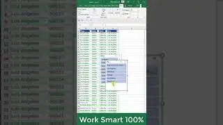 Work smart 100% | Excel Slicer
