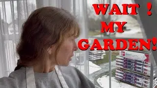 Getting A New Roof and Protecting Your Garden From Unforeseen Damage