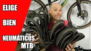 Un a&ntilde;o entero probando neum&aacute;ticos: COMPARAMOS