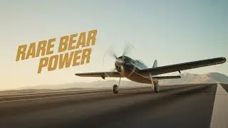 Rare Bear Airshow - Purple and Orange Beast