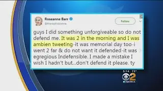 After Brief Twitter Hiatus Prompted By Her Own Racist Remark, Roseanne Barr Tweets She's Considering