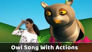 Owl Song For Babies | Owl Action Song | Owl Rhyme With Actions | Bird Songs For Kids