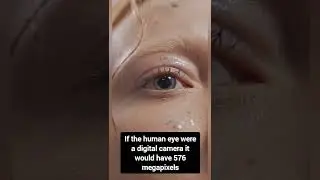 Facts About Human Eye | #shorts | Zail Facts