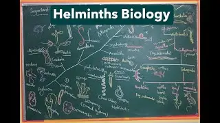 Helminths biology (Parasitic adaptations in Helminths)