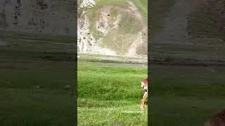 beautiful valley # northern Pakistan